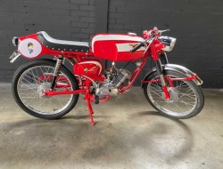 Moto Morini Corsarino 48cc 4 Takt LT551 | Transport | Auto's