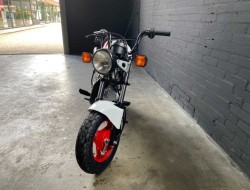 1990 Honda ZB50 DV1163 | Transport | Bromfiets / Motor