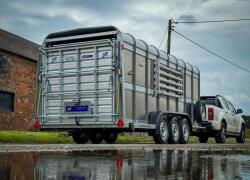 2025 Ifor Williams TA510 16x6 (497x178x182cm) Veetrailer 3-asser ADV1146 | Aanhangwagen | Veetrailer
