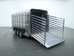 2024 Ifor Williams TA510 14x6 (427x178x182cm) Veetrailer 3-asser VT639 | Aanhangwagen | Veetrailer