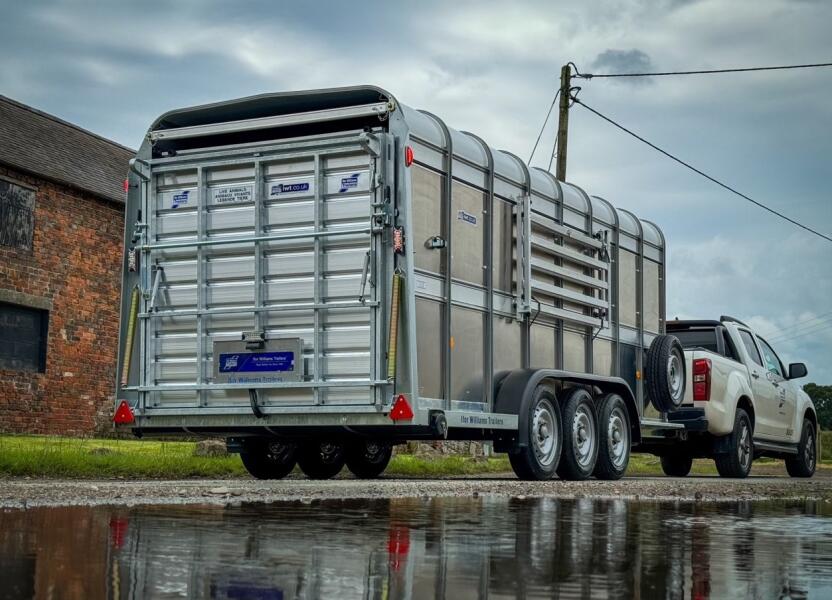 2026 Ifor Williams TA510 16x6 (497x178x182cm) Veetrailer 3-asser VT1020 | Aanhangwagen | Veetrailer