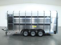 2026 Ifor Williams TA510 16x7 (497x178x212cm) Dubbeldeks Schapentrailer/ Veetrailer VT1087 | Aanhangwagen | Veetrailer