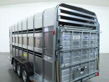 2026 Ifor Williams TA510 16x7 (497x178x212cm) Dubbeldeks Schapentrailer/ Veetrailer VT1087 | Aanhangwagen | Veetrailer