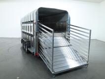 2026 Ifor Williams TA510 16x7 (497x178x212cm) Dubbeldeks Schapentrailer/ Veetrailer VT1087 | Aanhangwagen | Veetrailer