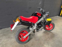 1988 Honda ZB50 VK5200 | Transport | Bromfiets / Motor